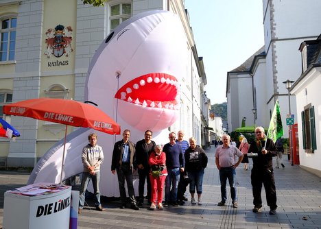 Miethai in Königswinter (18.9.2021)