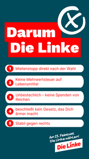 Gründe, Die Linke zu wählen